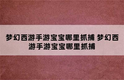 梦幻西游手游宝宝哪里抓捕 梦幻西游手游宝宝哪里抓捕